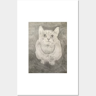 Cat fixation Posters and Art